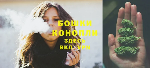 прущий лед Верея