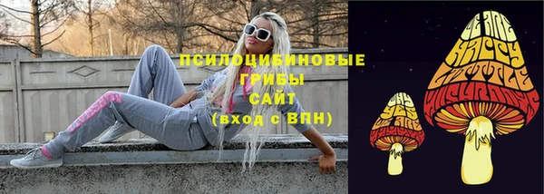 прущий лед Верея